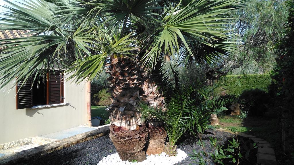 Baia Cofano Home كوستوناتشي المظهر الخارجي الصورة